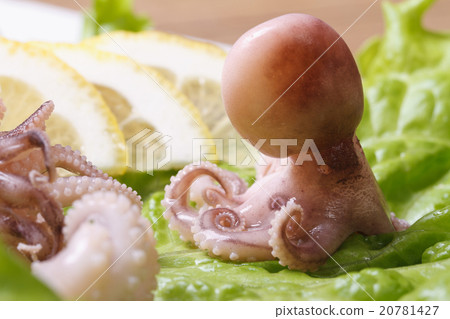 whole small octopus on lettuce leaves close-up whole small octopus on lettuce leaves close-up 20781427