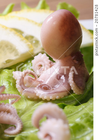 whole small octopus on lettuce close-up vertical whole small octopus on lettuce close-up vertical 20781428