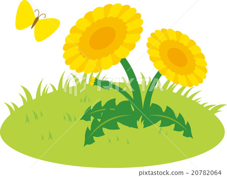 Dandelion and butterfly 20782064