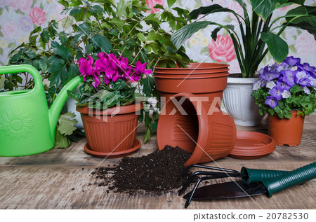 Gardening tools and flower on wooden background Gardening tools and flower on wooden background 20782530