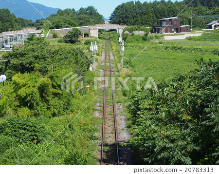 Yatsugatake高原 20783313
