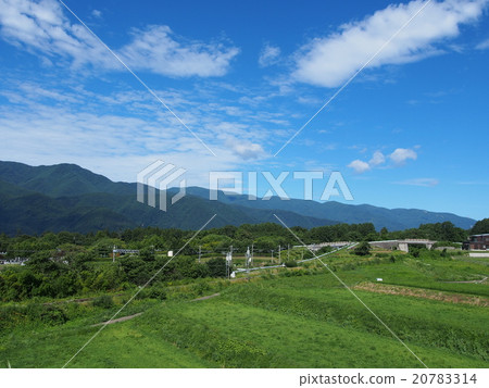 Yatsugatake高原 20783314