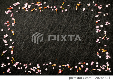 櫻桃框架櫻花框架 櫻桃框架櫻花框架 20784821