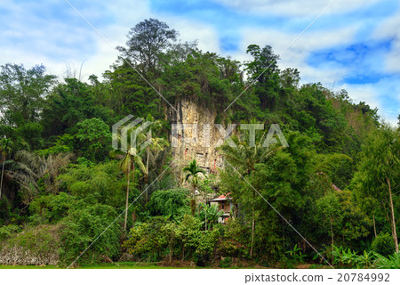 Suaya is cliffs burial site in Tana Toraja 20784992