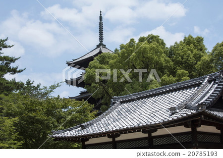 Ninna-ji Temple of the fresh green 20785193