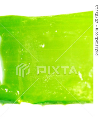 健康葉背景材料·蘆薈的多汁橫截面·白色垂直位置向上 20785315