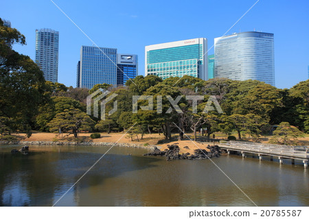 Hamarikyu花園和高層建築 Hamarikyu花園和高層建築 20785587