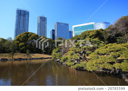 Hamarikyu Garden and high-rise buildings 20785599