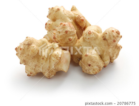 Jerusalem artichoke 20786775