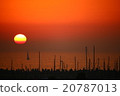 以色列的日落 20787013