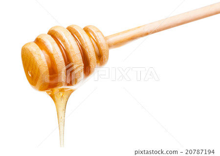 clear honey flows down from wooden stick isolated clear honey flows down from wooden stick isolated 20787194