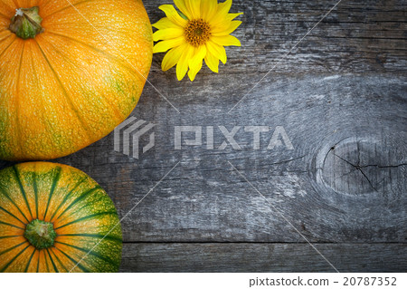 Willy's rock in green seaweed Willy's rock in green seaweed 20787352