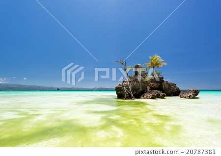 Willy's rock in green seaweed 20787381