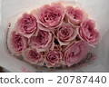 Pink rose gift 20787440