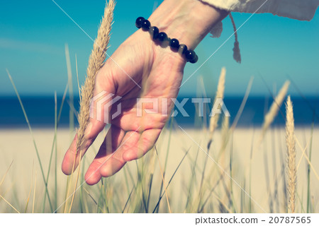 Woman's hand sliding through dune grass on sunny day 20787565