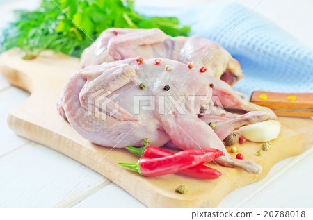 raw quail 20788018