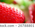 Strawberry  20788801