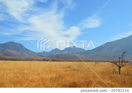 日光/ Senjogahara(栃木縣日光市) 日光/ Senjogahara(栃木縣日光市) 20791514