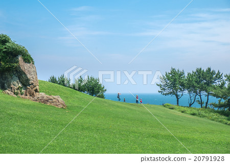 物種海岸 20791928
