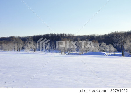 Vast landscape of pure white fog ice forest Hokkaido Tokachi Sutetsuki village Saruigawa river severe cold landscape 20791992