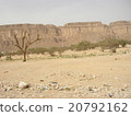 Desert 20792162