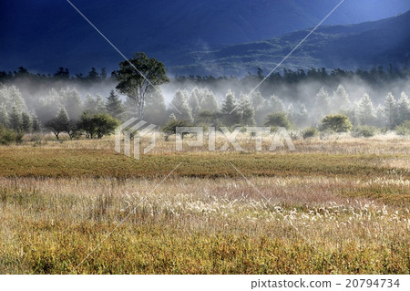 Odashirogahara 20794734