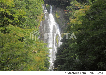 Kanba Falls Kanba Falls 20795251