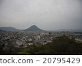 贊岐富士 20795429