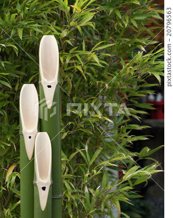 松木裝飾 20796563