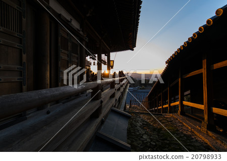 2月黃昏的東大寺 2月黃昏的東大寺 20798933