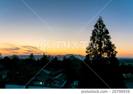 2月黃昏的東大寺 2月黃昏的東大寺 20798938