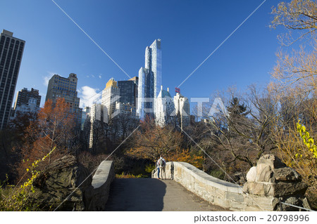 Central Park and Fifth Avenue Buildings Group 20798996