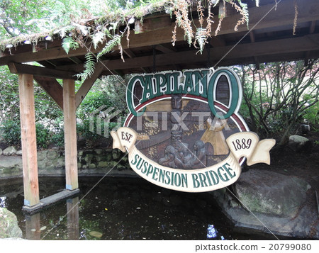 Capilano suspension bridge Capilano suspension bridge 20799080