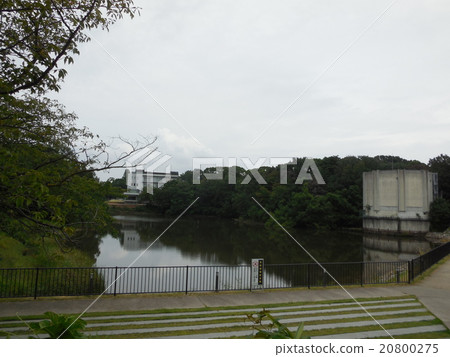 Nakayama Pond Nakayama Pond 20800275