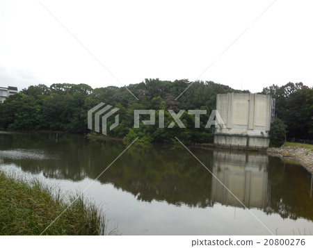 Nakayama Pond Nakayama Pond 20800276