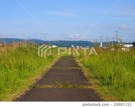 一條路 一條路 20801151