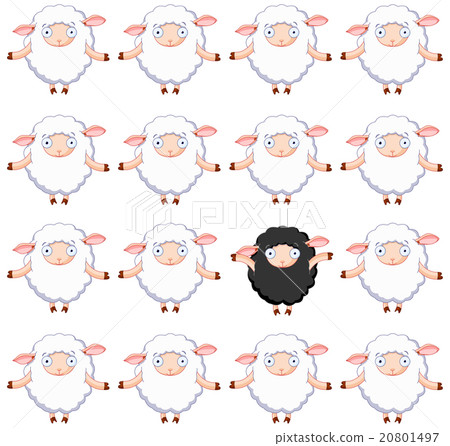 Black Sheep Black Sheep 20801497