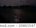 Night rural area 6 20801547