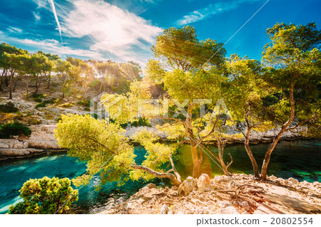 Nature of Calanques on the azure coast of France 20802554