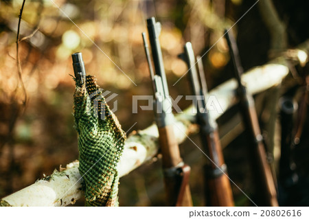 German and Soviet russian rifles of World War II German and Soviet russian rifles of World War II 20802616