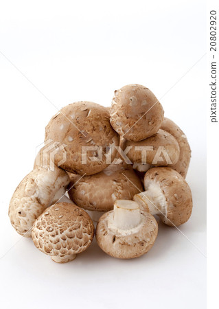 棕色蘑菇 棕色蘑菇 20802920