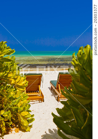 Sunbed on Maldives beach 20803377