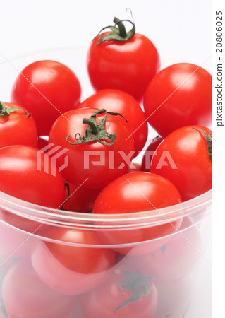 Tomato Tomato 20806025