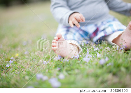 baby, feet, paw 20806503