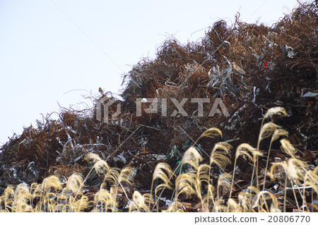 Metal recycling resources 20806770