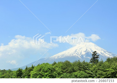 Fuji and early summer fresh green 20807153