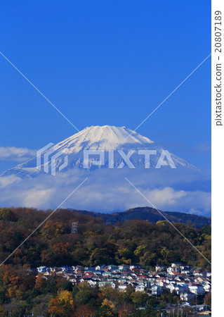 Mt. Fuji seen from Oiso and residential area 20807189