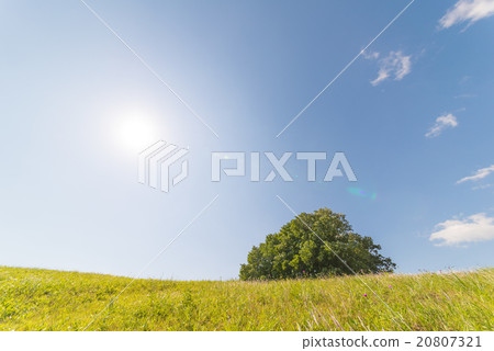 Hill landscape Hill landscape 20807321