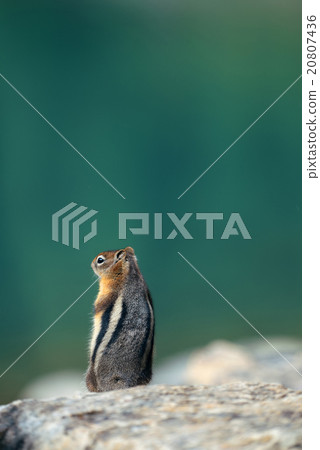 Banff National Park Banff National Park 20807436