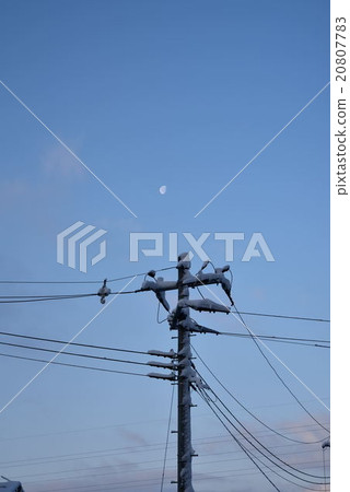 早晨月亮和雪構成電報柱子1 20807783